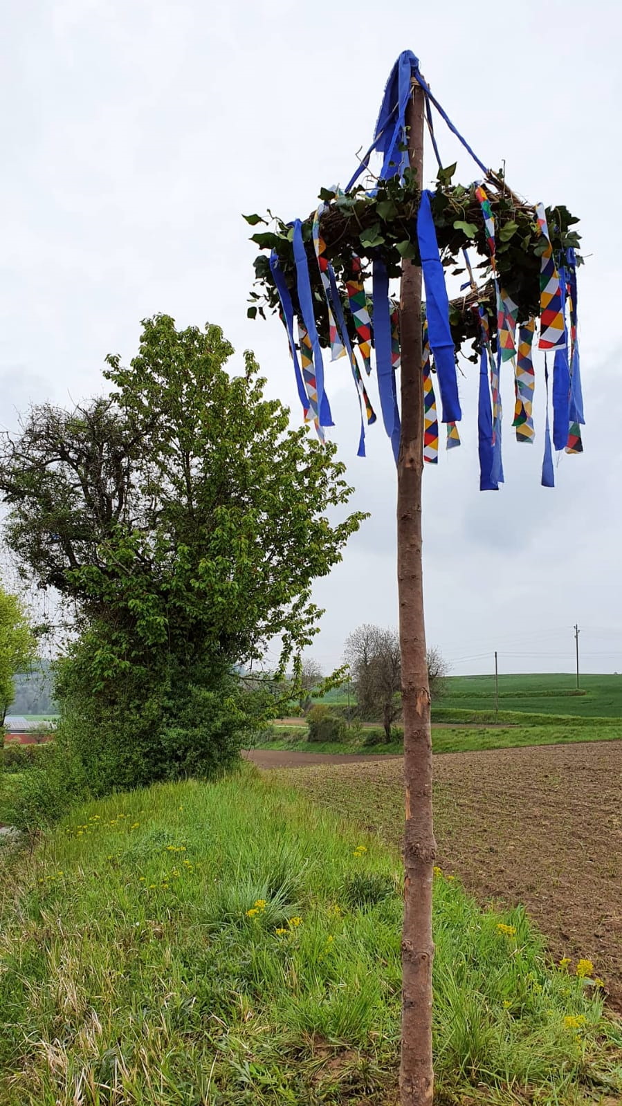  Geschmückt wie ein „Großer“ – Der kleine Maibaum steht als symbolisches Zeichen der Hoffnung und der Gemeinsamkeit 