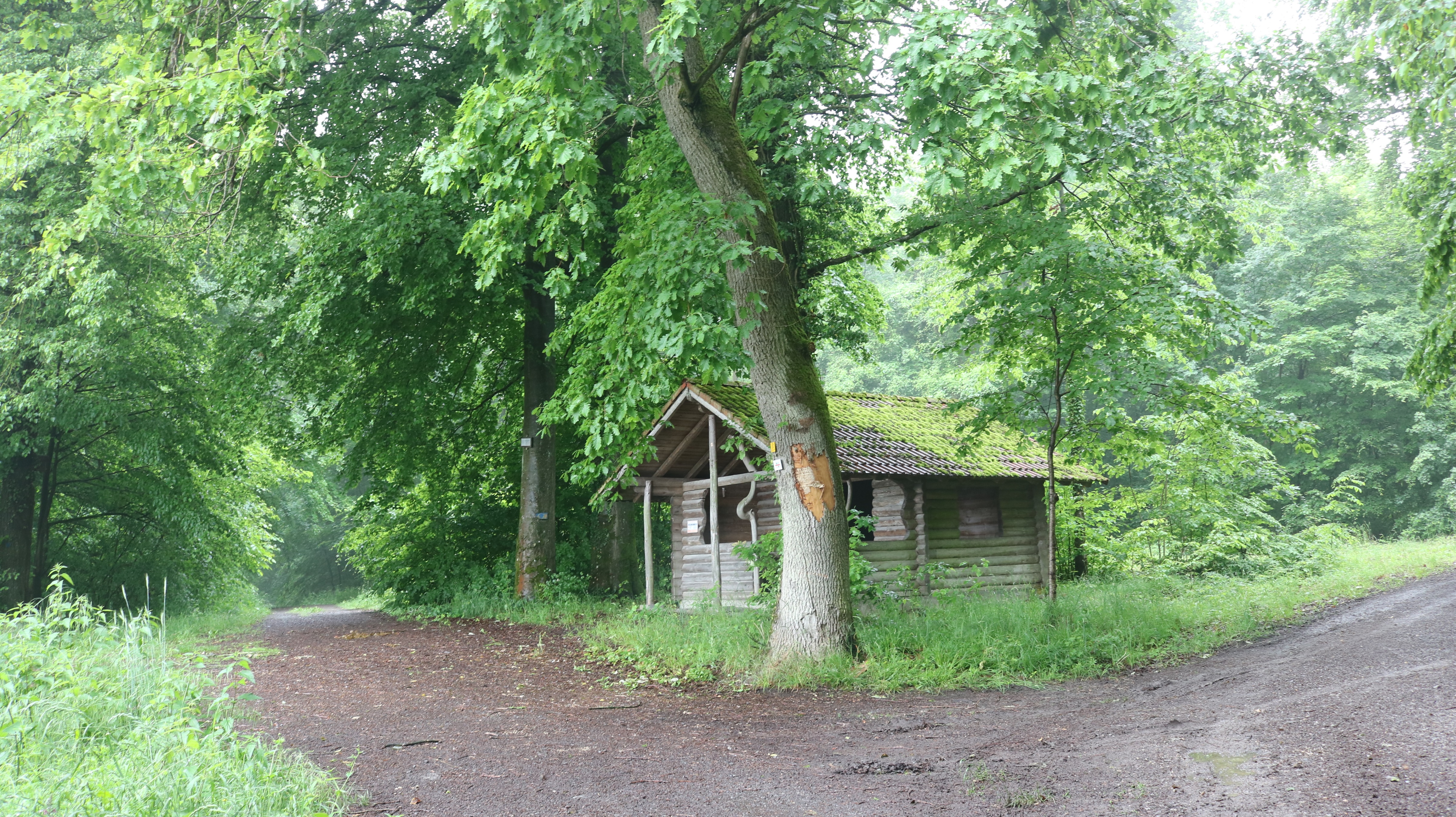  Die Herrmann-Enderle-Hütte steht im Bereich Waldersteig und markiert somit den Beginn des fraglichen Bereichs, der sich rund um die Hütte in beide Richtungen erstreckt. 