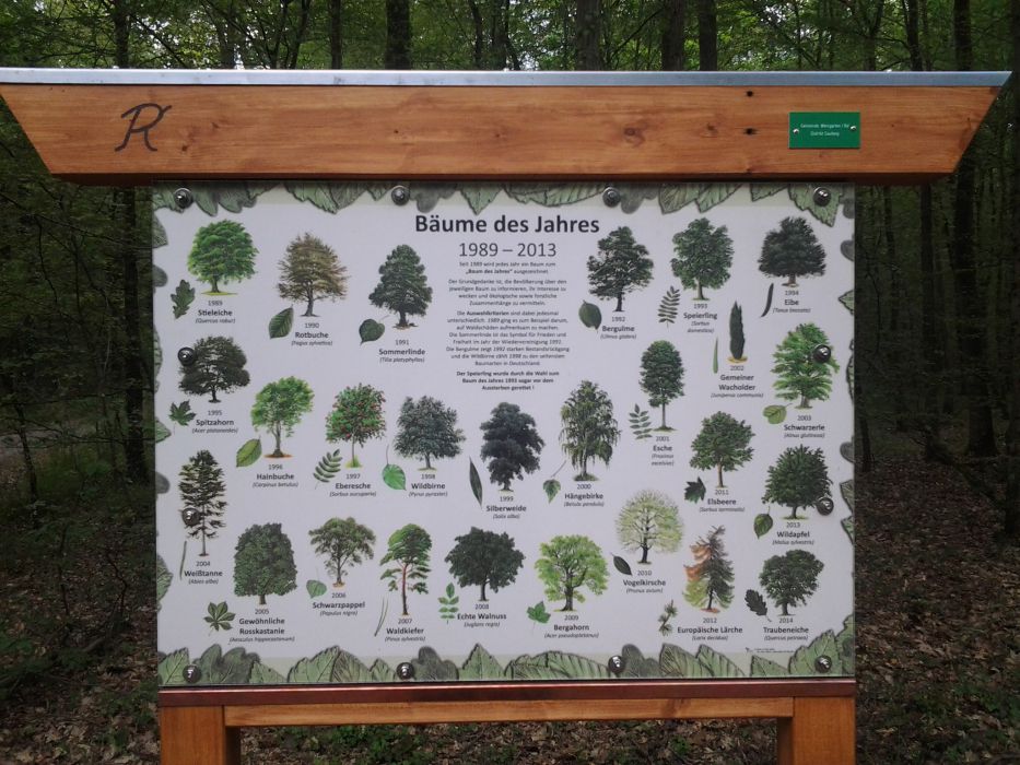  Lehrtafel Bäume des Jahres 1989 - 2013 -Niederwald (Radweg im Wald Richtung Blankenloch) 