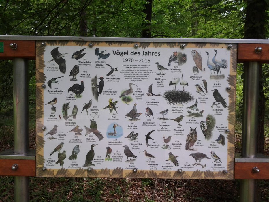  Lehrtafel Vögel des Jahres 1970 - 2016 Niederwald (Grenzweg Stutensee an der Leitungstrasse) 