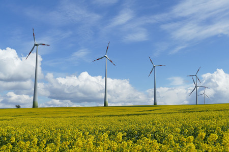 Ankündigung: Podiumsdiskussion zum geplanten Windpark in Weingarten (Baden)