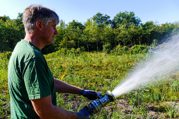 Hunderttausende Liter Wasser: Feuerwehr unterstützt bei Waldbewässerung